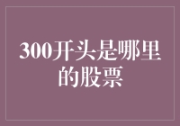 当股市遇见黑洞：300开头的股票哪里找？