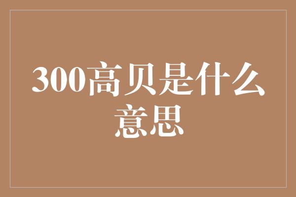 300高贝是什么意思