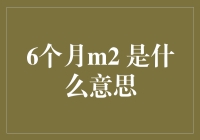 6个月m2 是什么意思