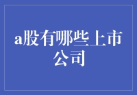 A股上市公司的全景图谱及其重要性分析