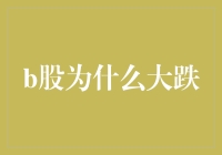 B股市场大跌原因分析与未来展望