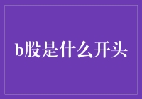 B股是什么？——一种独特的股市投资渠道