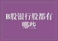 中国B股市场中的银行股投资机会与风险分析