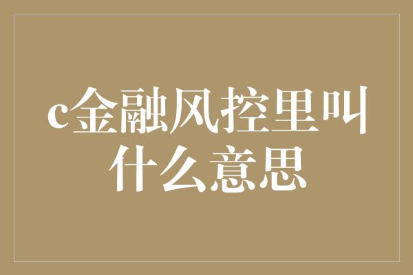 c金融风控里叫什么意思