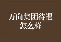 万向集团员工待遇分析：一份充满机遇与挑战的职业蓝图