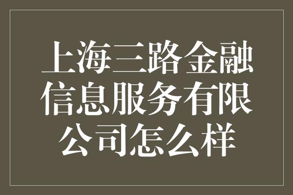 上海三路金融信息服务有限公司怎么样