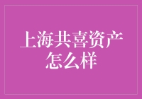 上海共喜资产管理有限公司：潜力无限的投资新星