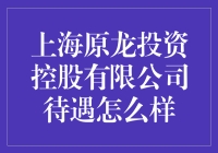 揭秘！上海原龙投资控股有限公司待遇真的那么好吗？