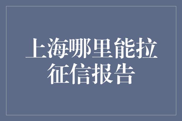 上海哪里能拉征信报告