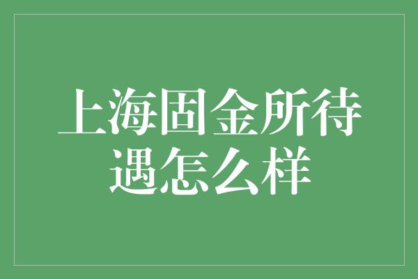 上海固金所待遇怎么样