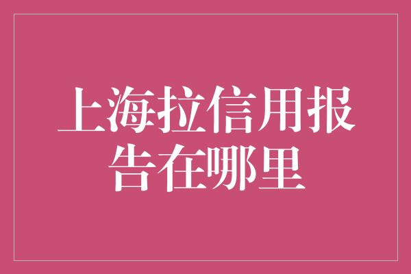 上海拉信用报告在哪里