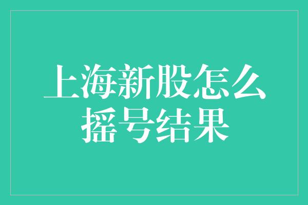 上海新股怎么摇号结果