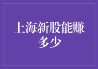 上海新股：解锁财富密码，剖析收益潜力