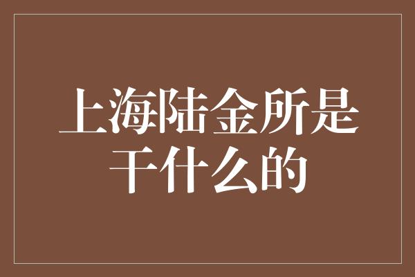 上海陆金所是干什么的