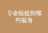 专业版服务概览：解锁您的业务潜能