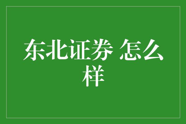 东北证券 怎么样