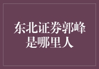 东北证券郭峰的职业生涯与个人家乡背景探究