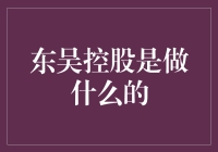 东吴控股：创新金融的领航者