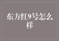 海洋强国之路：东方红9号的探索与展望