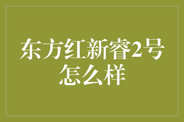 东方红新睿2号怎么样