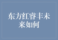 东方红睿丰到底行不行？让我这个'砖家'给你说道说道！