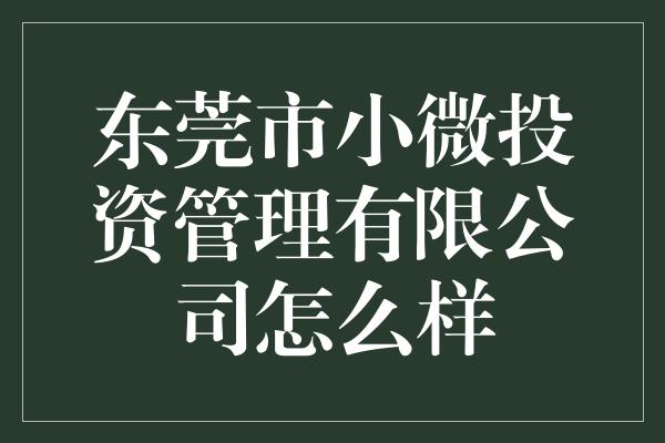 东莞市小微投资管理有限公司怎么样