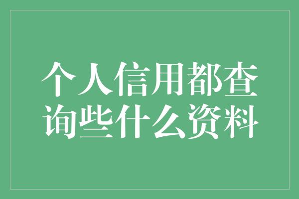 个人信用都查询些什么资料