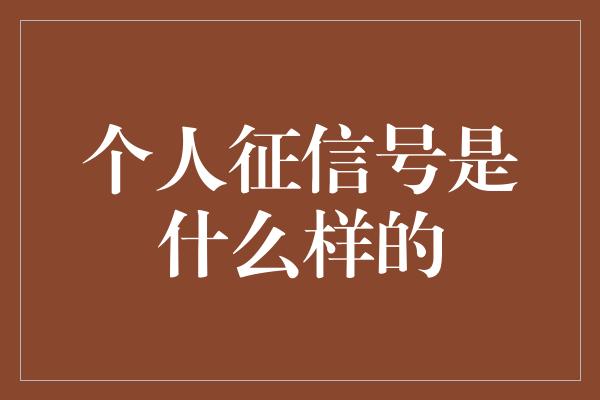 个人征信号是什么样的