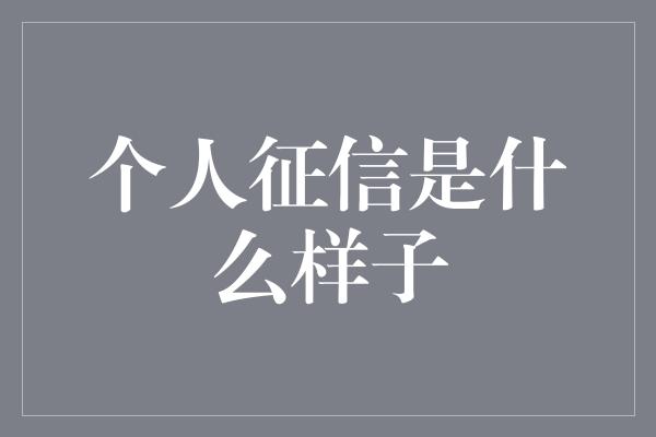 个人征信是什么样子