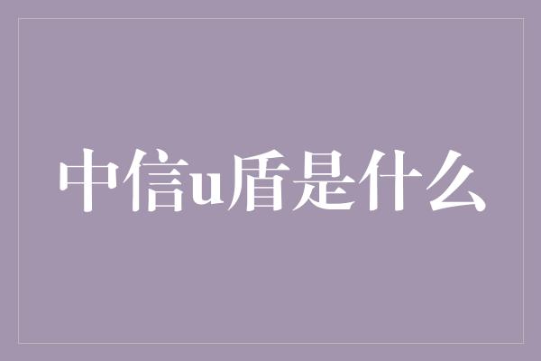 中信u盾是什么