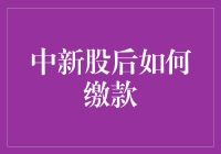 中新股后如何缴款：步骤详解与注意事项