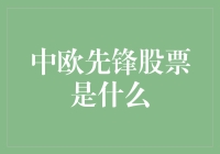 中欧先锋股票——投资欧洲市场的最佳选择？