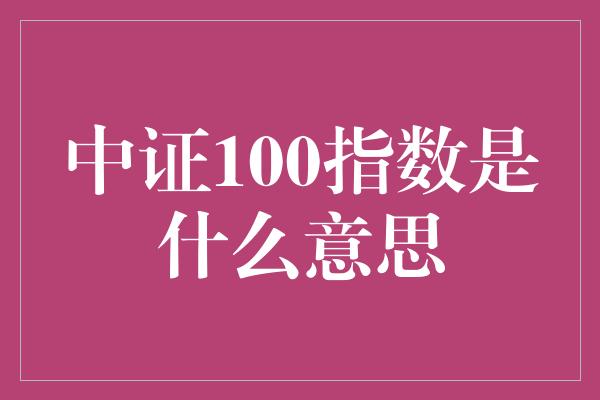 中证100指数是什么意思