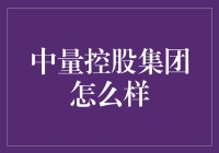 中量控股集团：创新引领，担当贡献的现代化企业集团