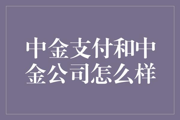 中金支付和中金公司怎么样