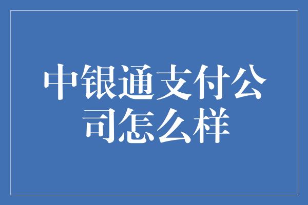 中银通支付公司怎么样