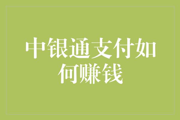 中银通支付如何赚钱