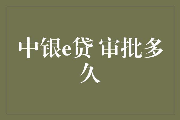 中银e贷 审批多久