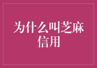 芝麻信用：构建个人信用评价的新模式