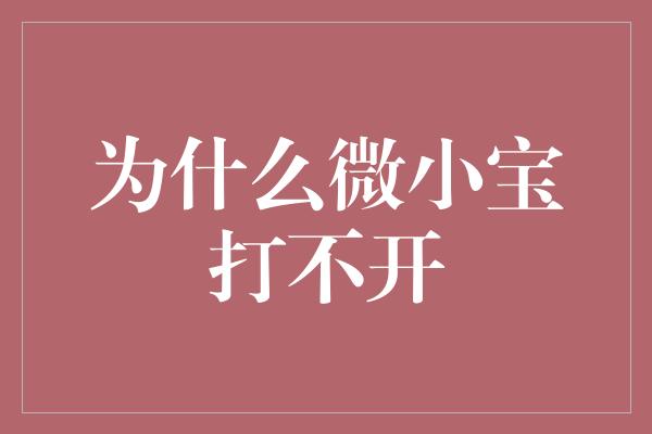 为什么微小宝打不开