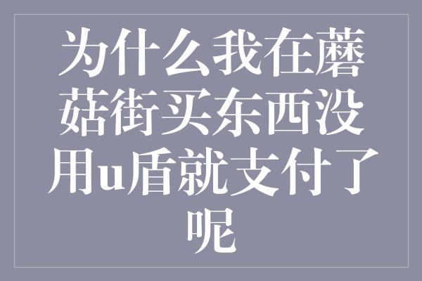 为什么我在蘑菇街买东西没用u盾就支付了呢