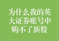 为什么我的英大证券账号申购不了新股：深度解析与解决方案