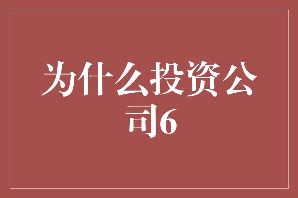 为什么投资公司6