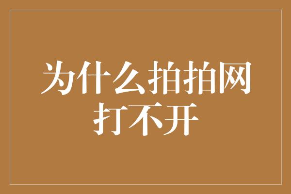 为什么拍拍网打不开