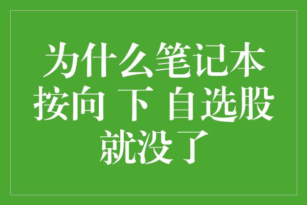 为什么笔记本按向 下 自选股就没了