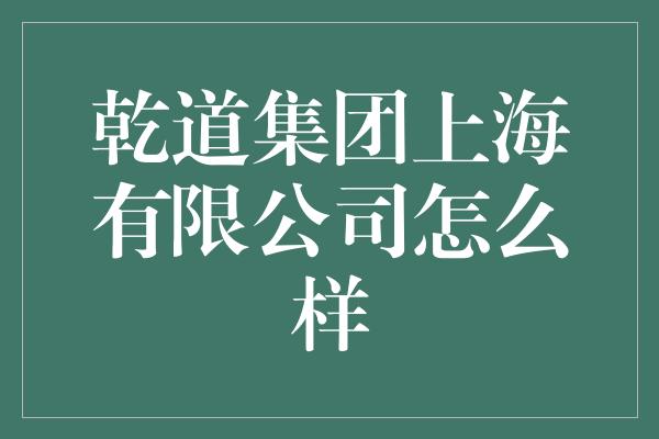 乾道集团上海有限公司怎么样