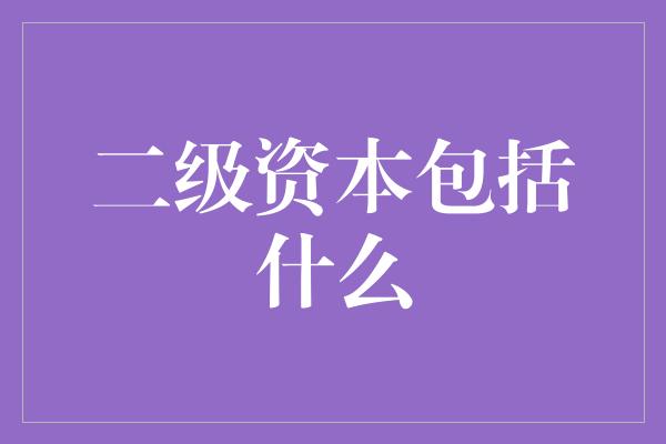 二级资本包括什么