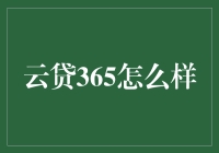 云贷365：数字时代贷款服务的革新者