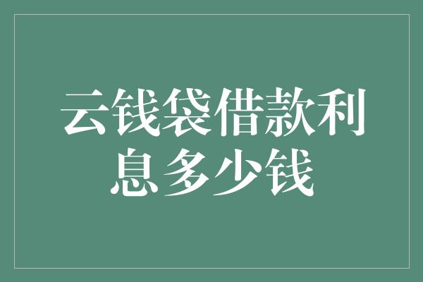 云钱袋借款利息多少钱