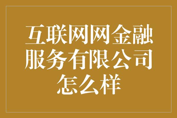 互联网网金融服务有限公司怎么样